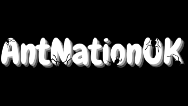 AntNationUK