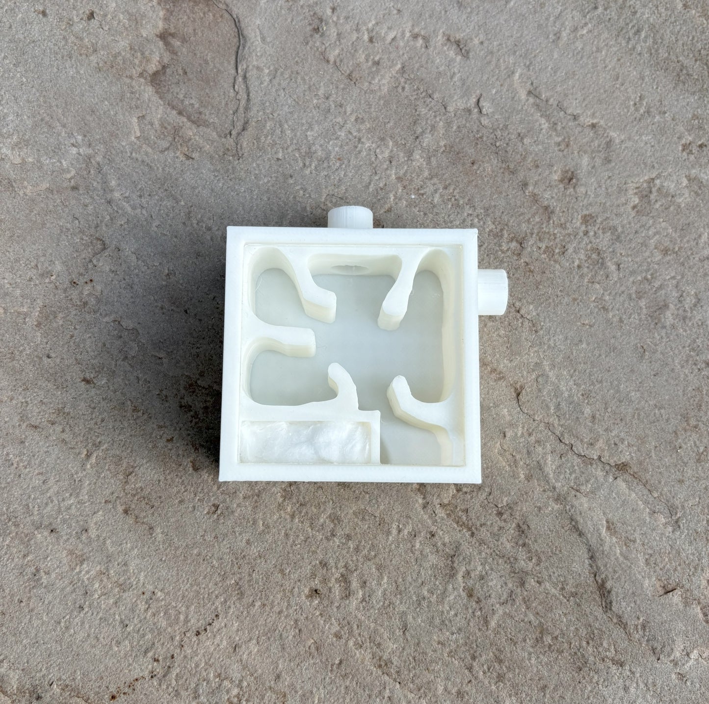 Small Ant Nest