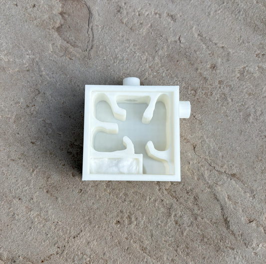 Small Ant Nest