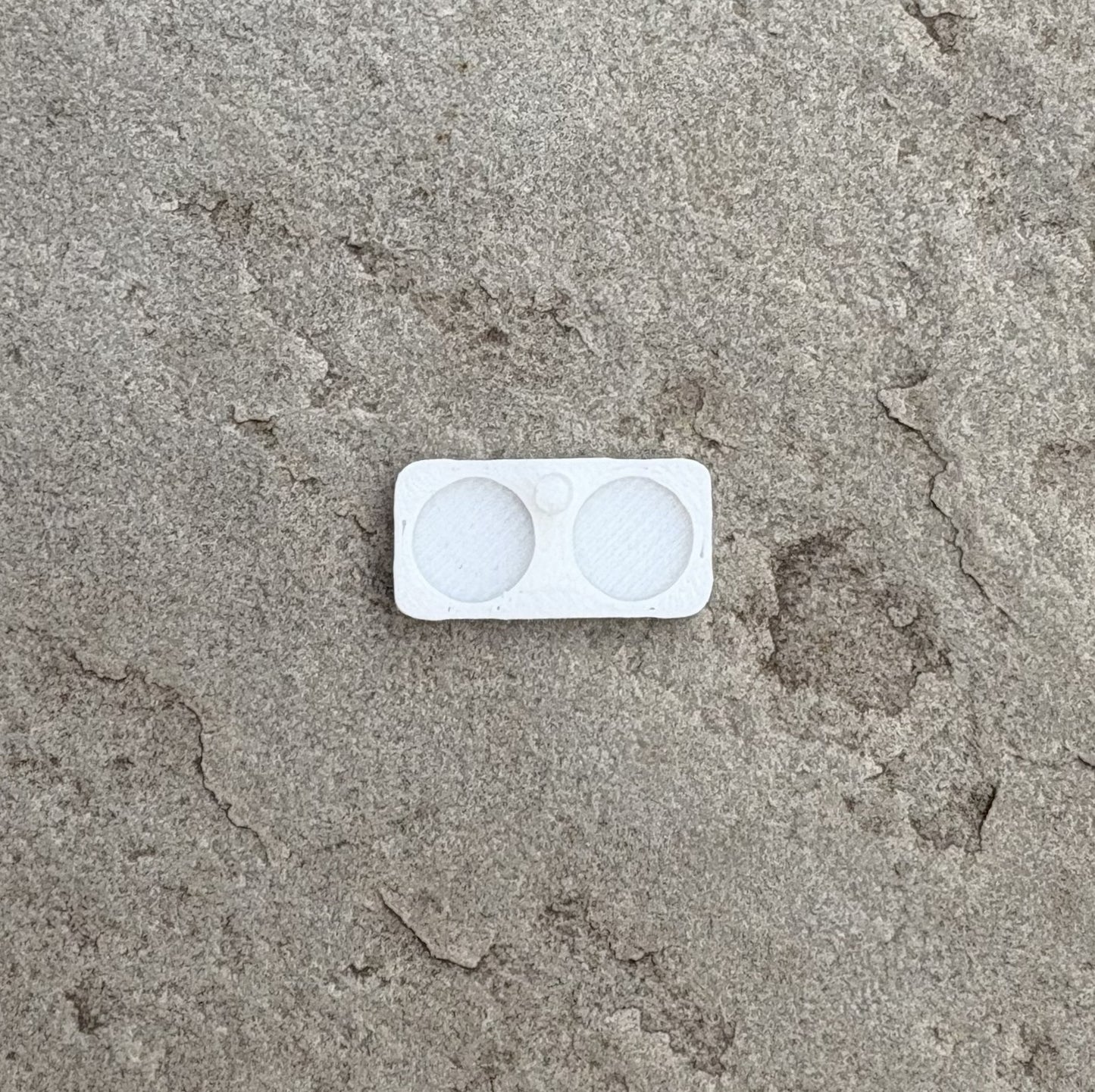 Ant Feeder Dish