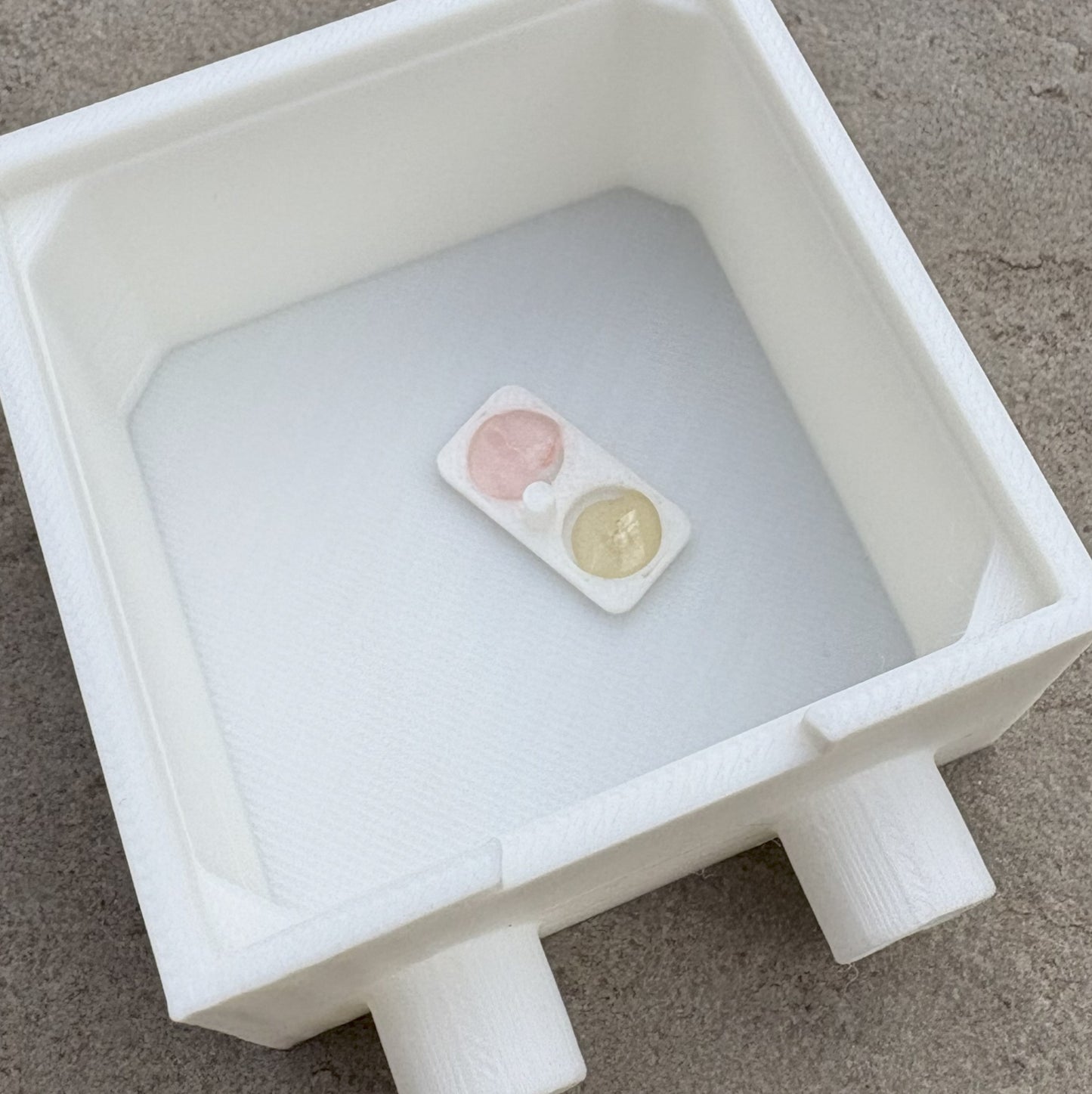 Ant Feeder Dish